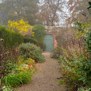 green-door-at-the-bottom-of-a-pathway-jenny-williams-garden-located-in-wales