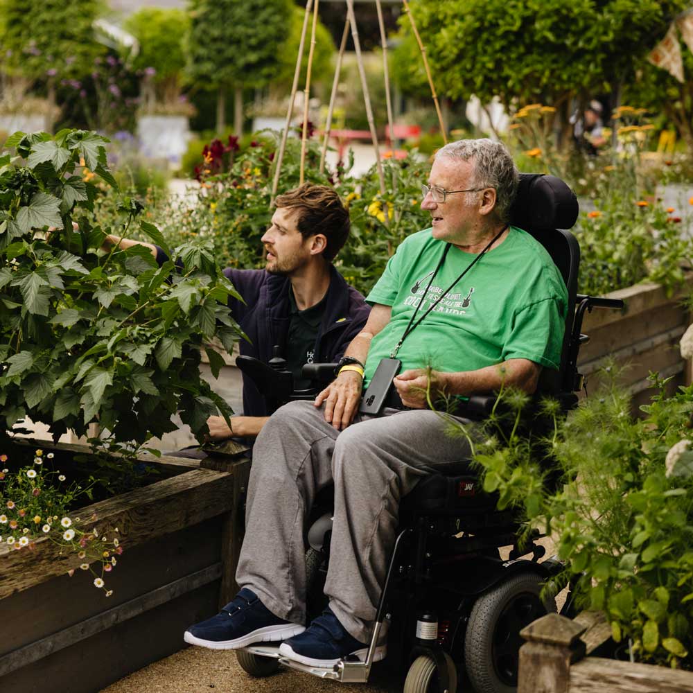 A brunette man crouching shows the wheelchair-bound man by his side a shrub growing in a wooden planter in a garden scene. 