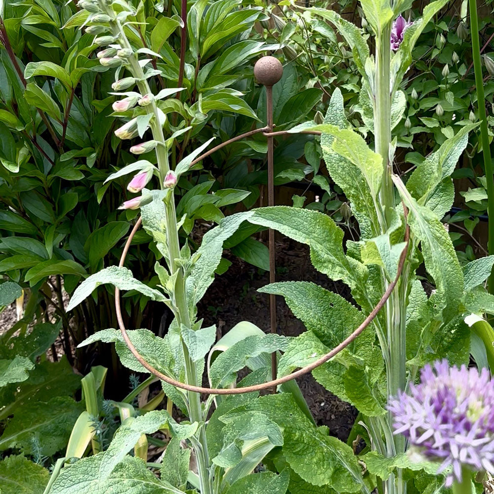 Metal garden tool among green plants with purple flowers
