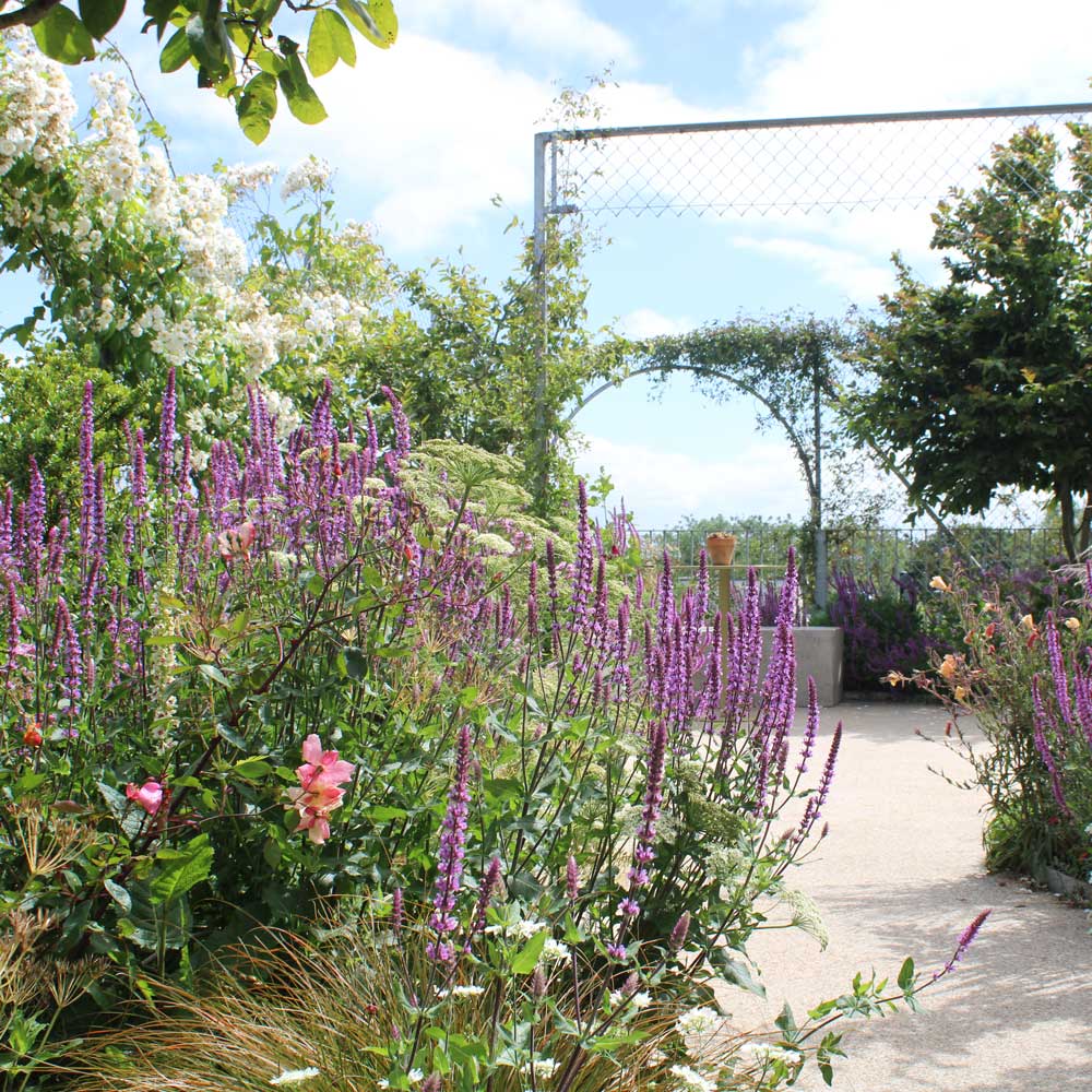 Horatio Gardens