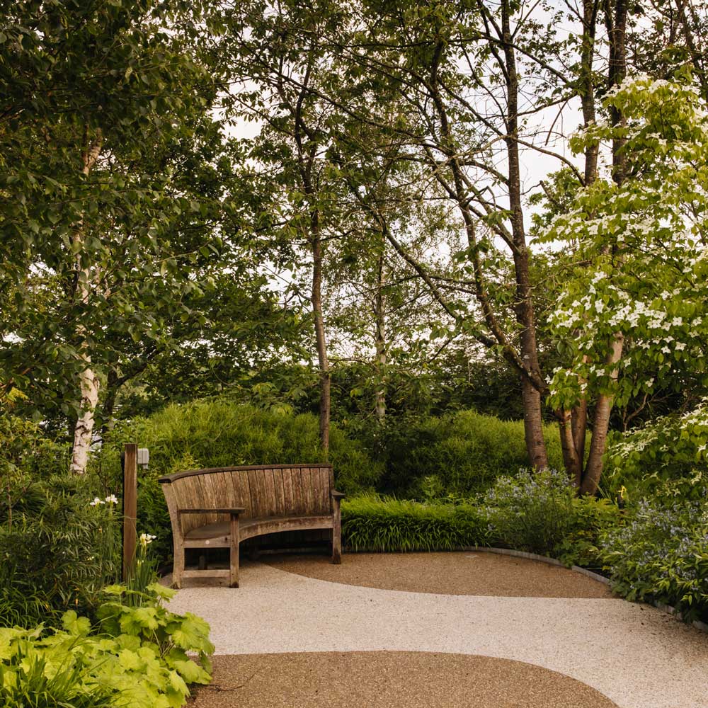 A bench situated on a path within Horatio's Garden, surrounded by various trees and plants. 