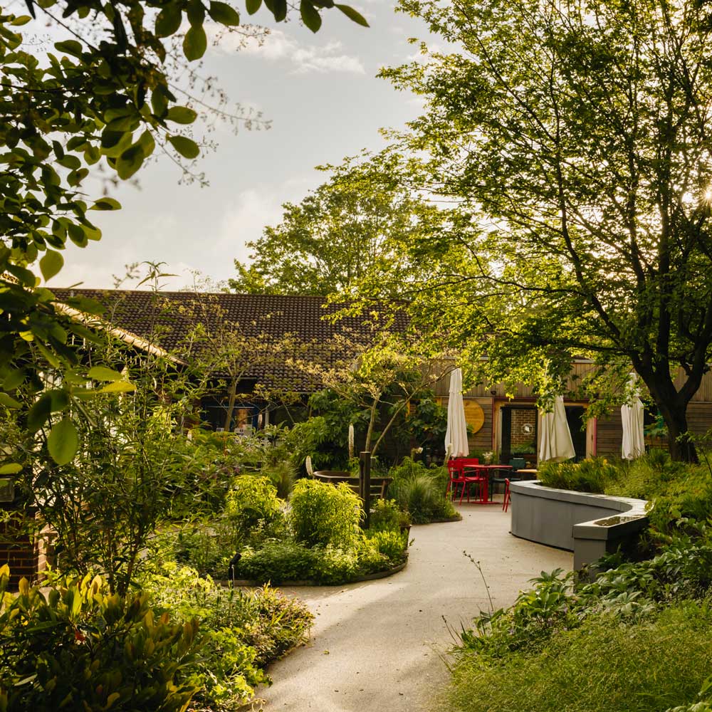 A section of Horatio's Garden, featuring a winding path lined with various plant beds that leads to a wooden building.
