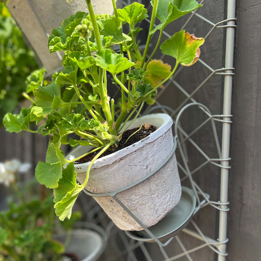 Antiqued Whitestone Plant Pot