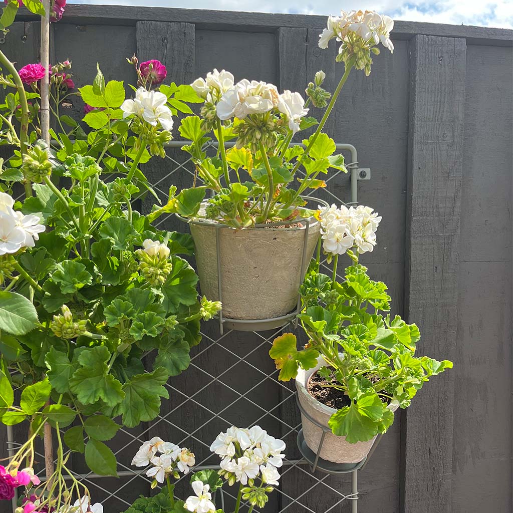 antiqued white stone pot with plant