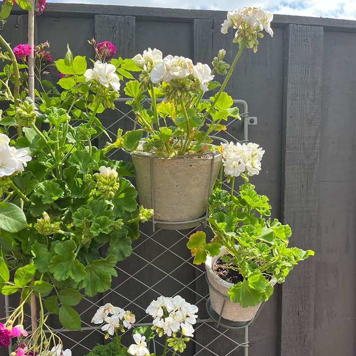 antiqued white stone pot with plant