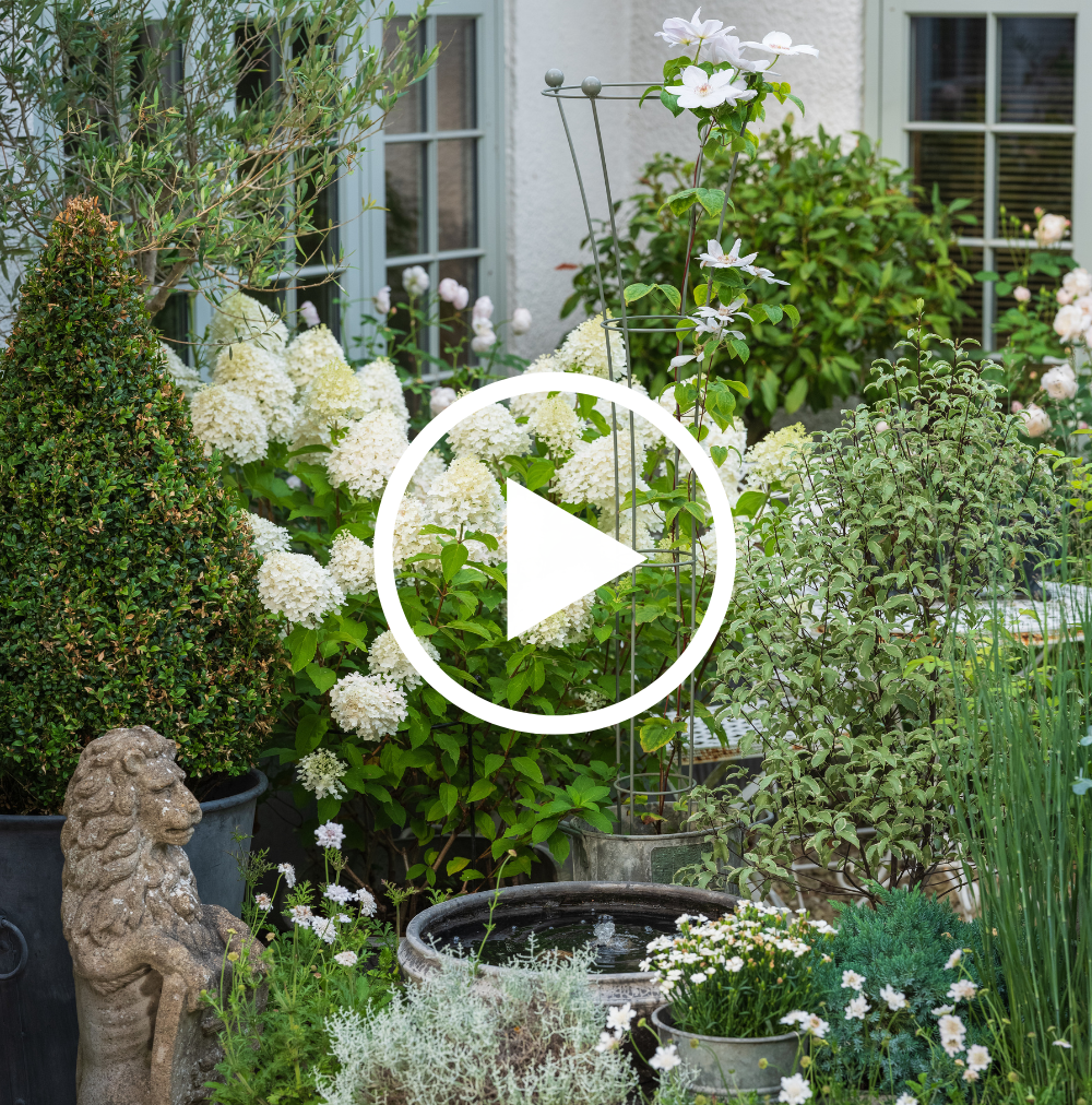 Garden scene with plants, flowers, and a stone lion statue.