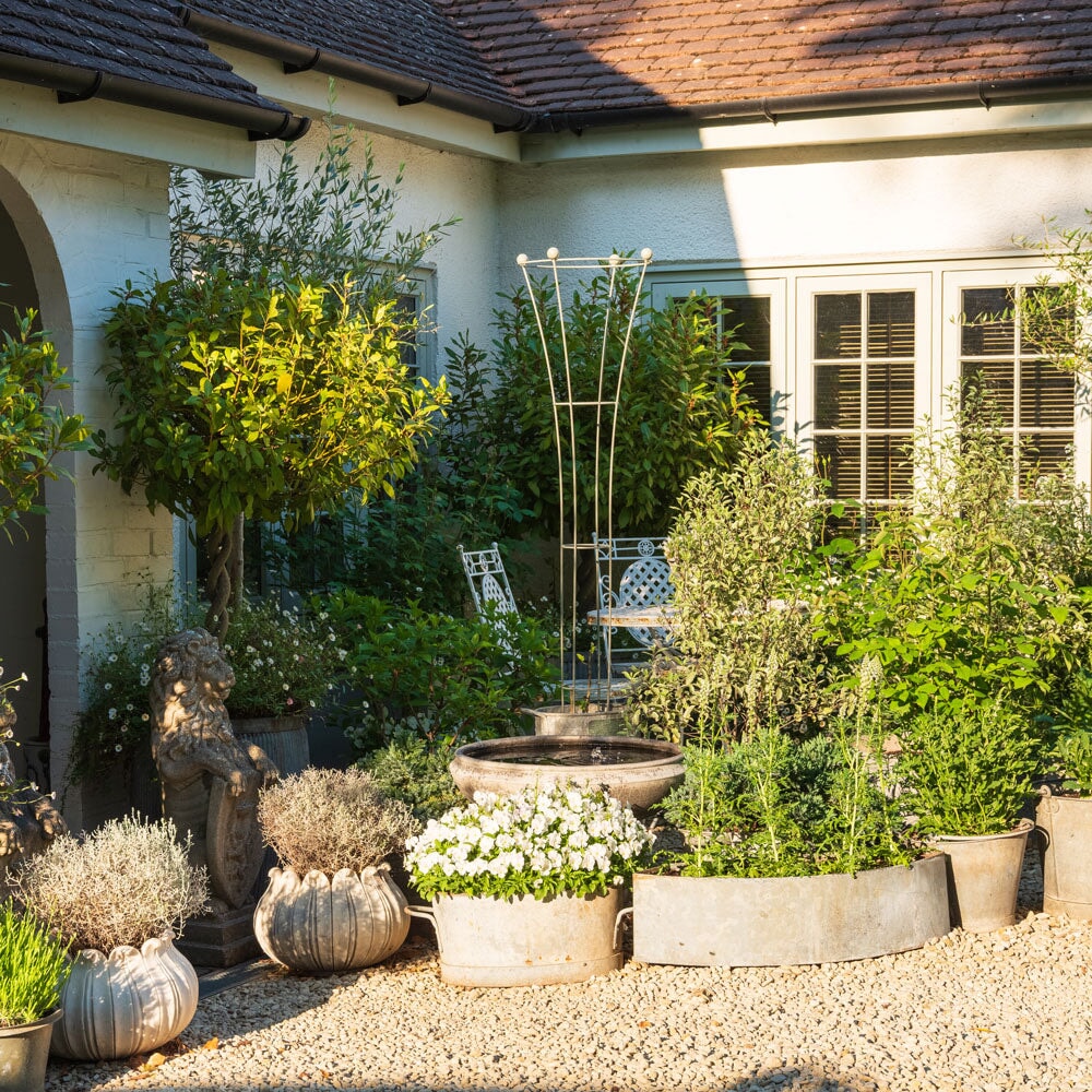Garden with potted plants and a building in the background