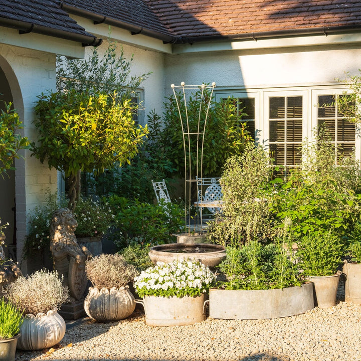 Garden with potted plants and a building in the background