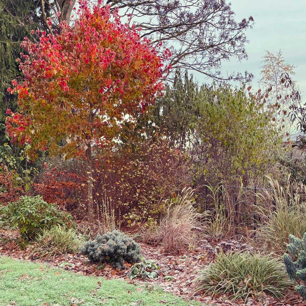 jenny-williams-colourful-landscape