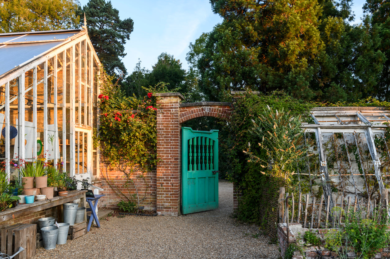 Garden scene with various greenhouses lining a brick wall with a wooden turquoise door in the middle. 