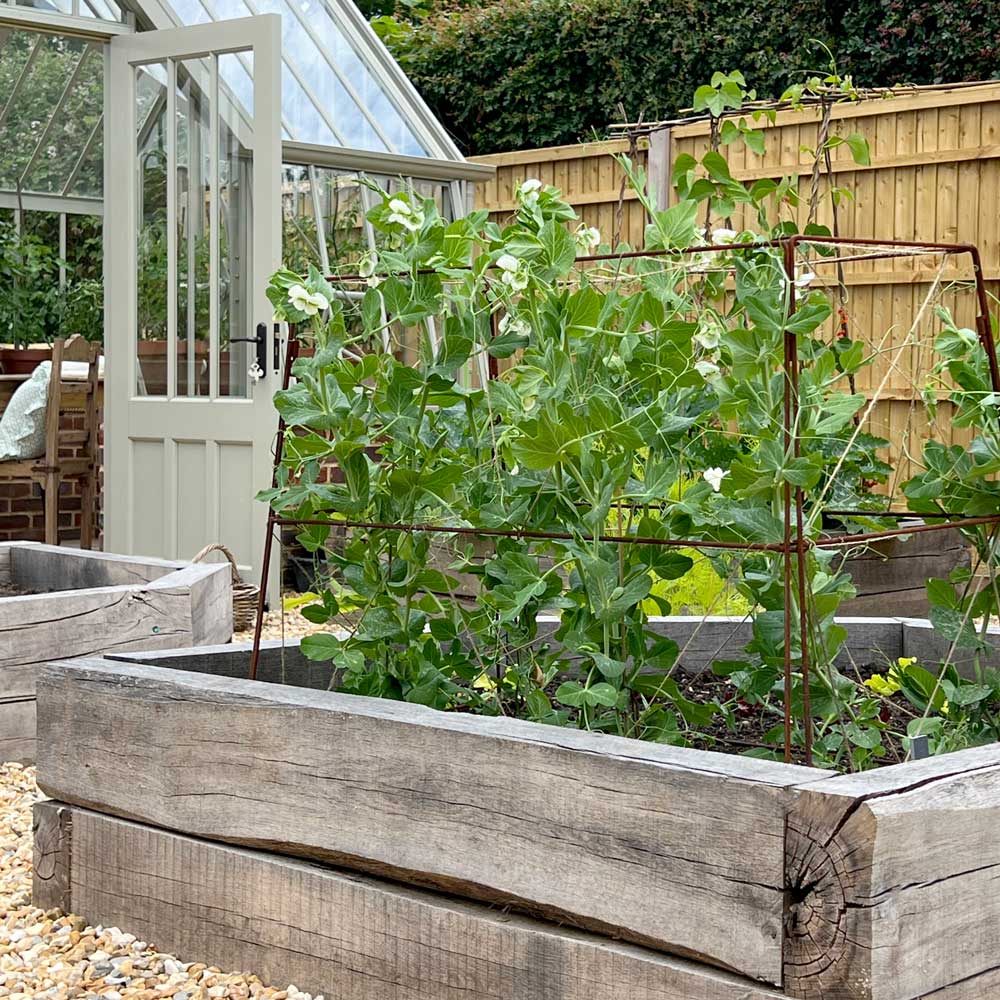 Agriframes Jute Strung Folding Frame being used to support plants in a wooden planter in a garden.