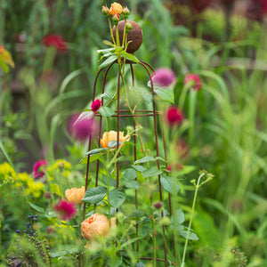King Obelisk with flowers growing up 