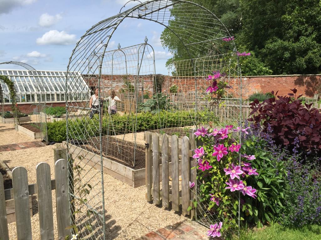 Sunny kitchen garden featuring several Agriframes Round Arches and Elegance Runner Bean Frames.