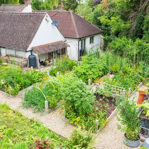 Kitchen Garden in Elliot Neeps garden with arches and various structures