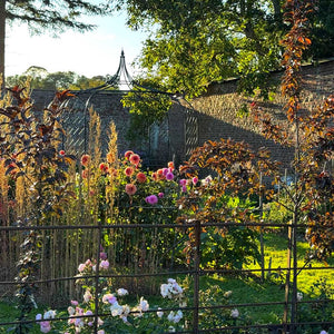 large-gothic-gazebo