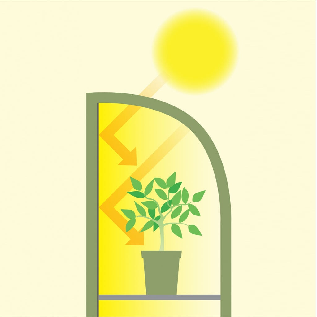 Light Booster Plant House | Agriframes