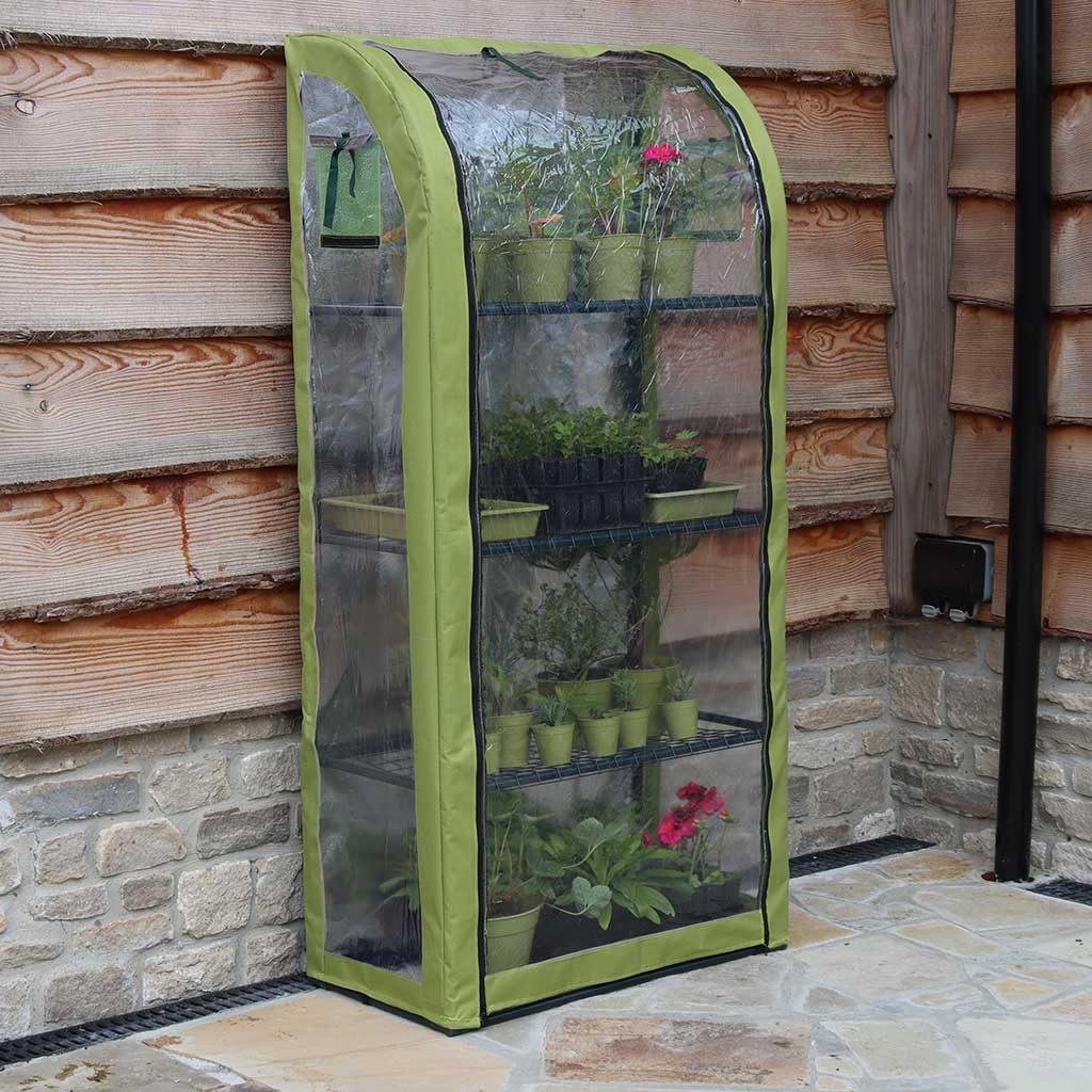 Portable greenhouse with plants against a wooden wall