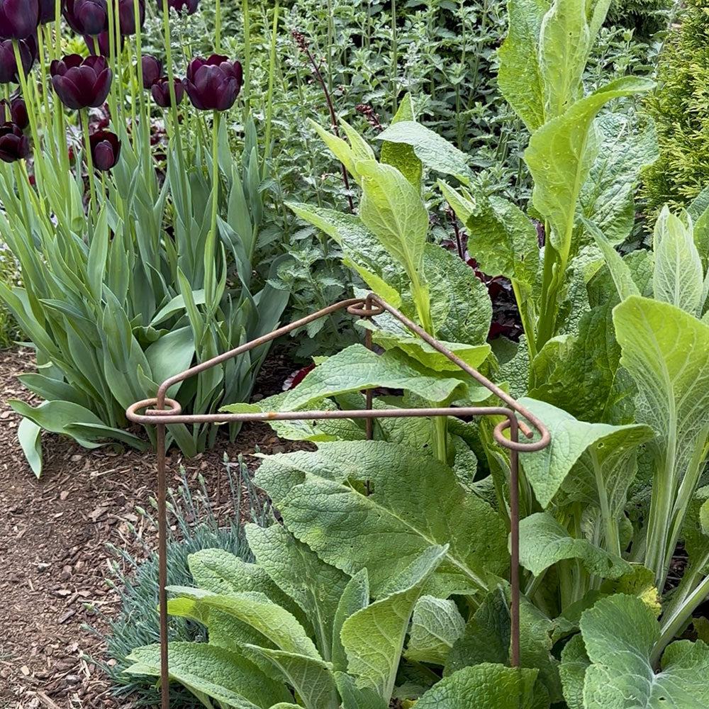 Rustic metal plant support stake among green plants and purple flowers in a garden setting