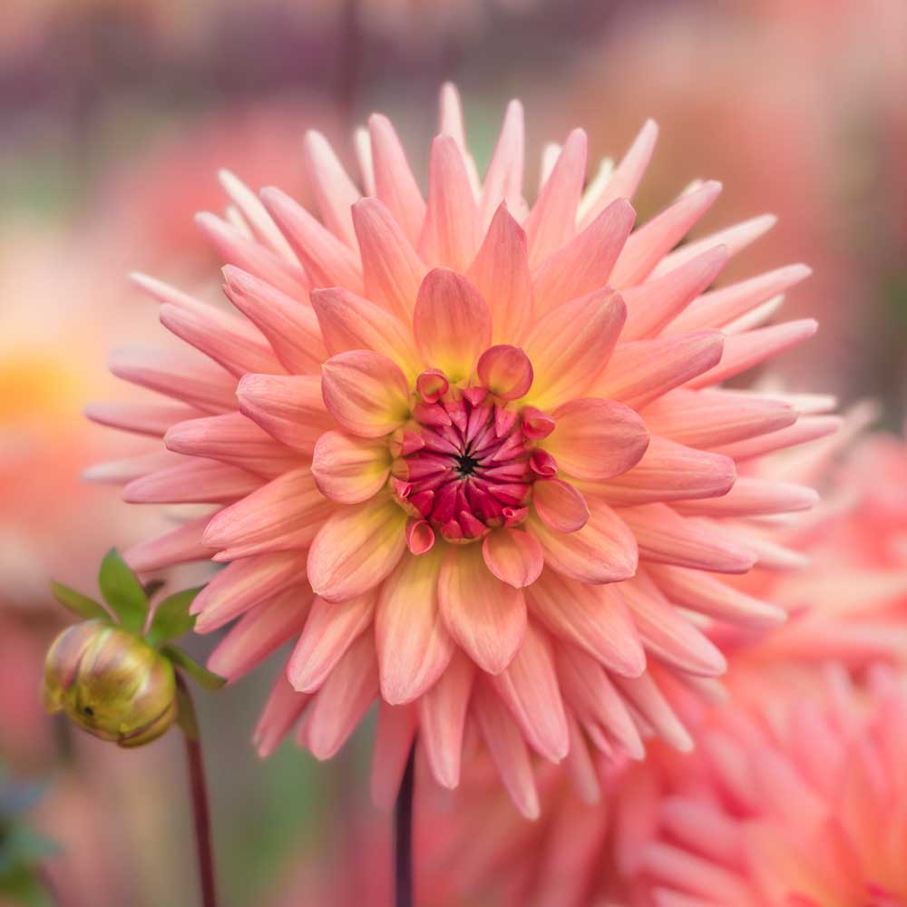 Marina Walker Photography 