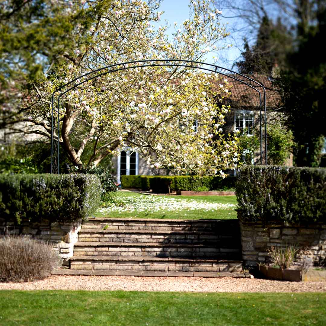 Monet Garden Arch on top of 4 stairs with a beautiful tree, green grass with white flowers in the background 