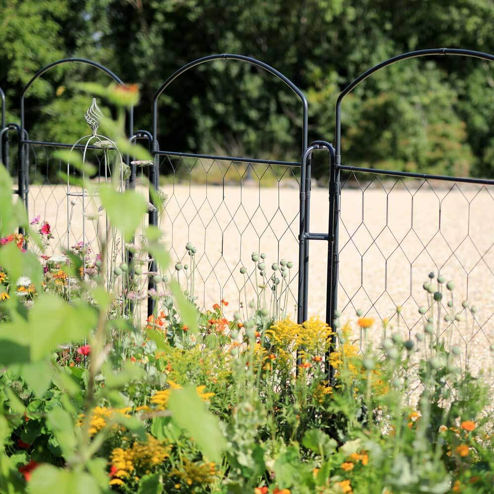 Monet Screen with flowers surrounding