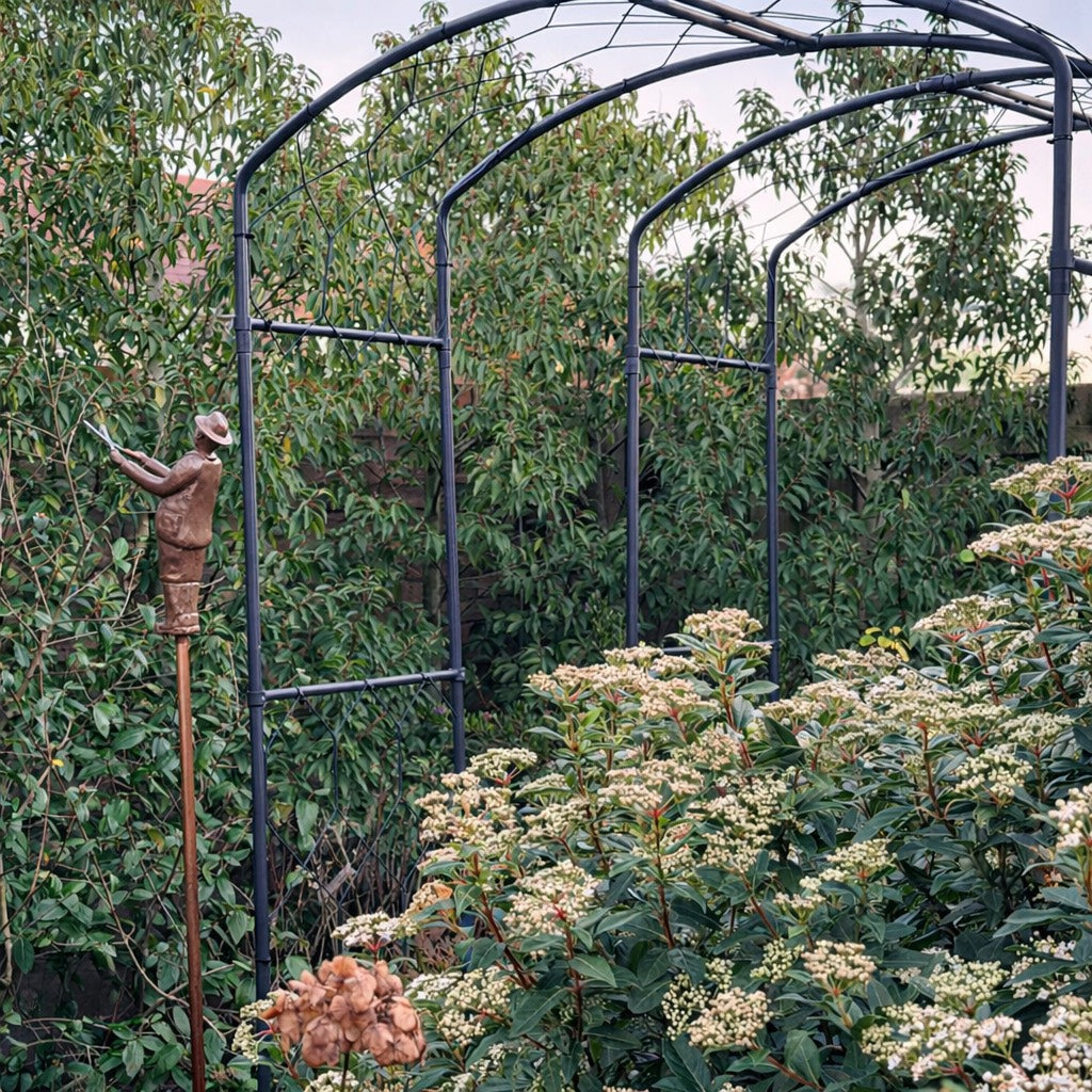 Two Agriframes matte black Monet arches are positioned in a row amongst a shrub-filled garden scene. 