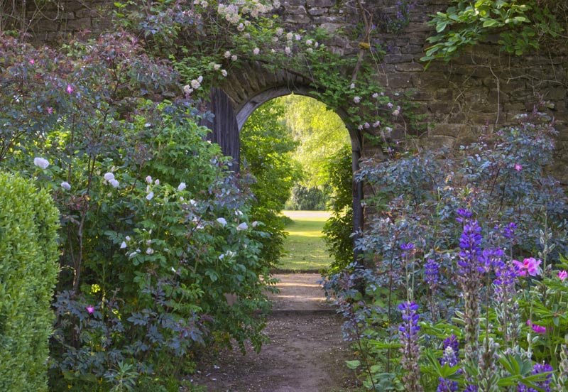 Munstead wood Arch