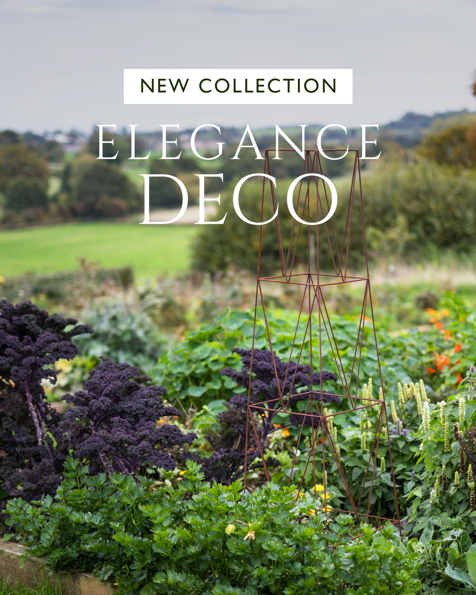 Agriframes Elegance Deco Obelisk mounted in a flowerbed overlaid with the text "New Collection: Elegance Deco"