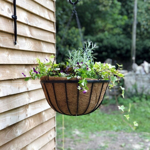 Agriframes Oxford Hanging Basket mounted on a wooden exterior wall with a plant growing insde it.