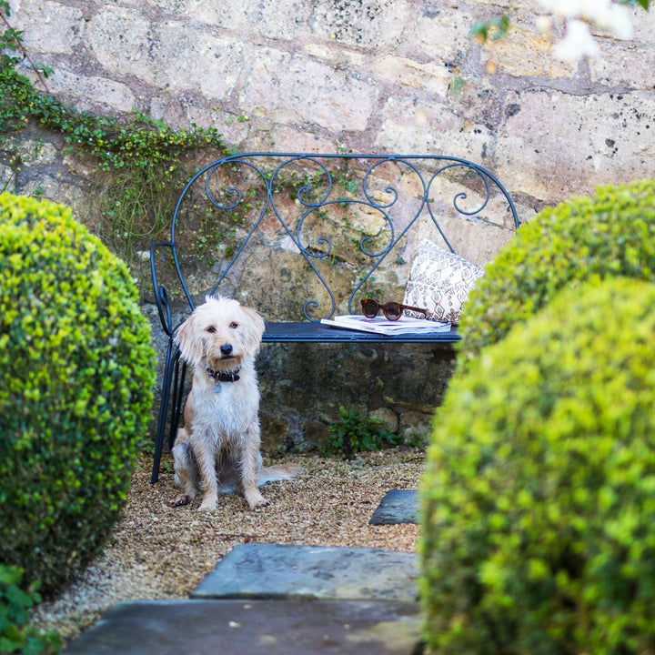 Dog sitting on a gravel path with a stone wall and Agriframes Pavillion Vintage Garden Bench in the background