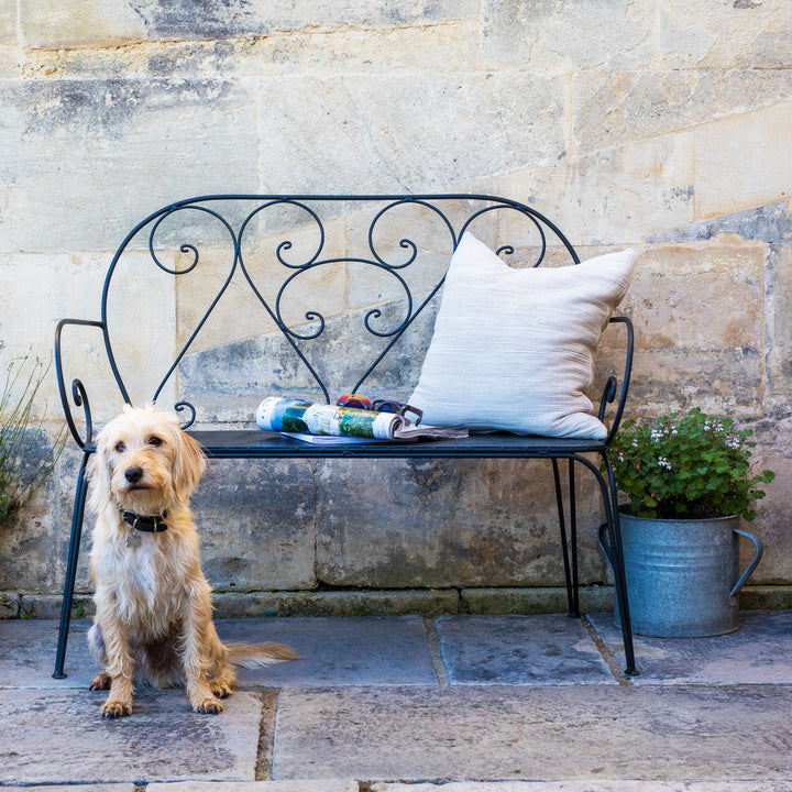 Dog sitting on a stone patio next to a decorative Agriframes Pavillion Vintage Garden Bench with a pillow and plant.