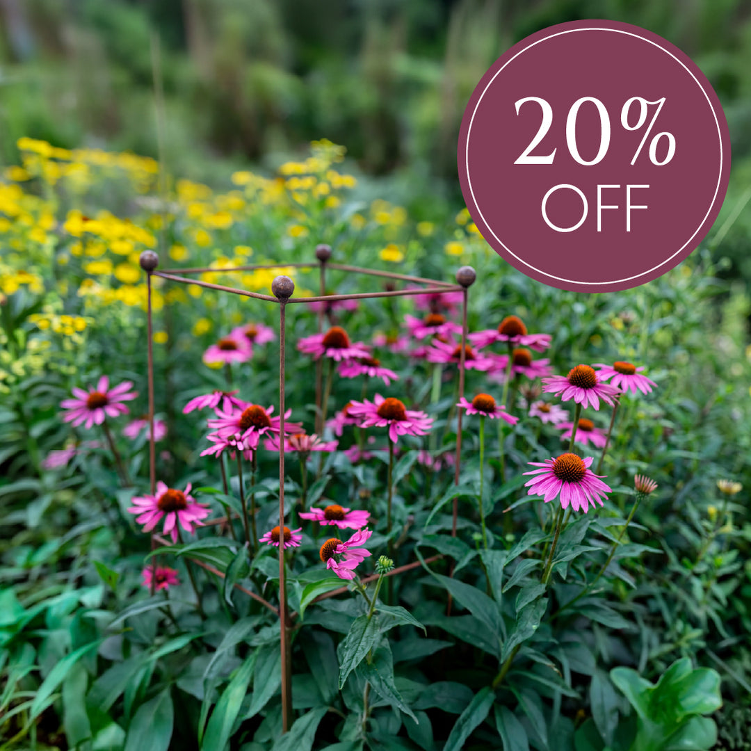 Agriframes Elegance Plant Support Promotion 20% off 