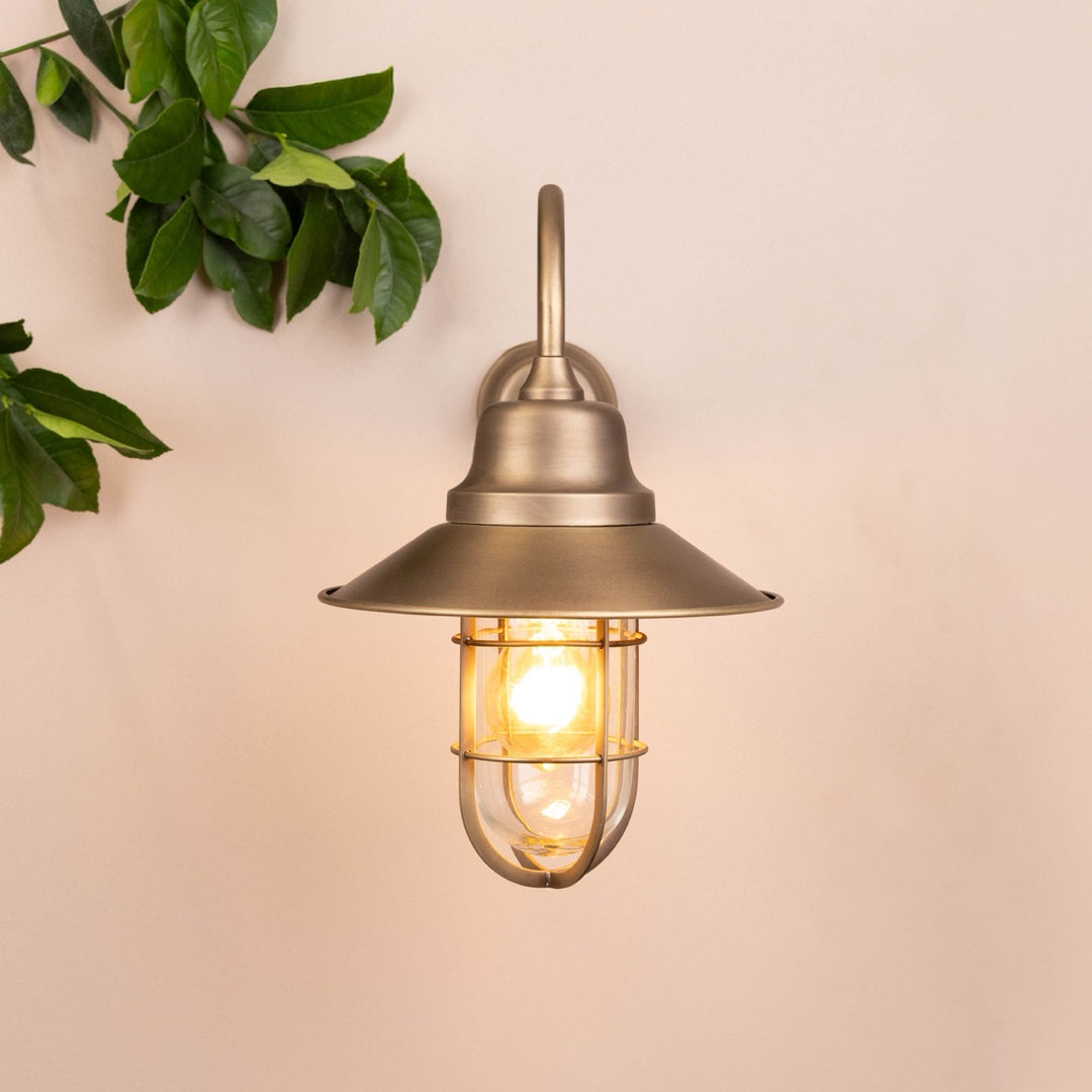 Brass wall-mounted light fixture with swan neck on a pale background with leaves in the top left corner. 