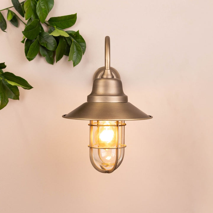 Brass wall-mounted light fixture with swan neck on a pale background with leaves in the top left corner. 