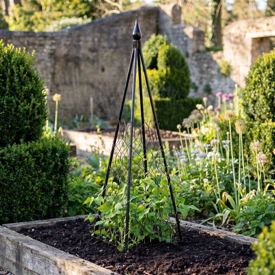 Pyramid Frame