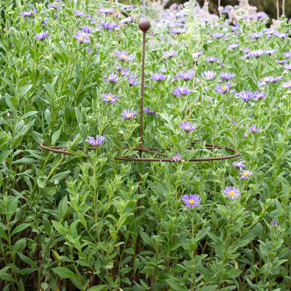 Metal garden stake among green foliage and purple flowers