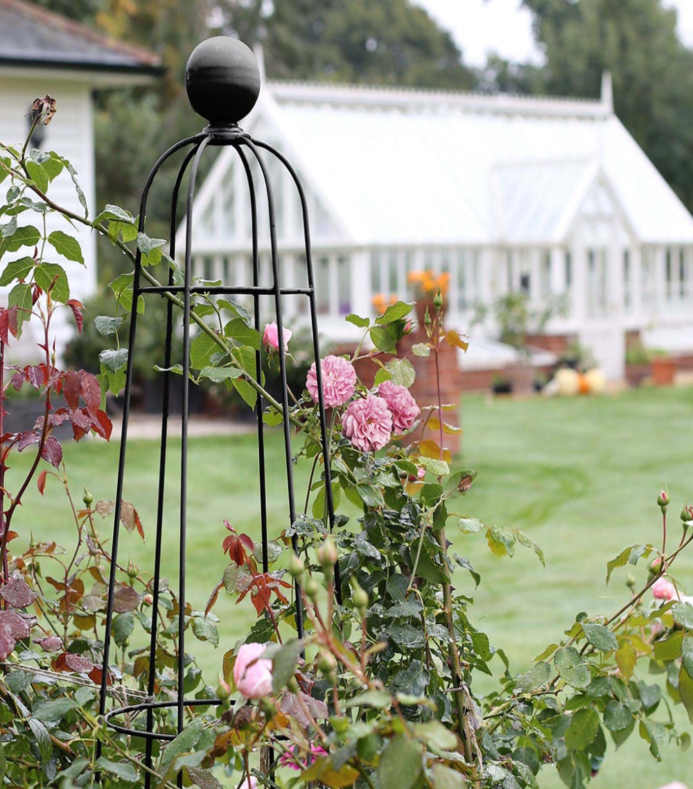 Agriframes Elegance Queen Obelisk in Matt Black with roses growing on it in front of greenhouse
