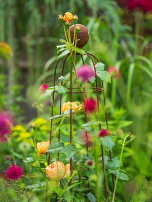 Queen obelisk with roses and flowers growing up and around