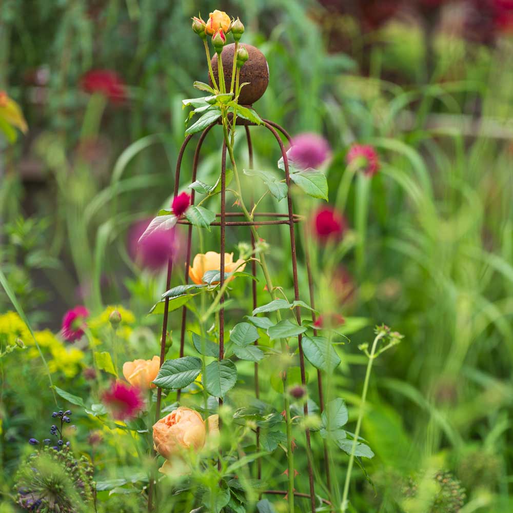 Decorative metal garden trellis with climbing plants and flowers in a garden setting