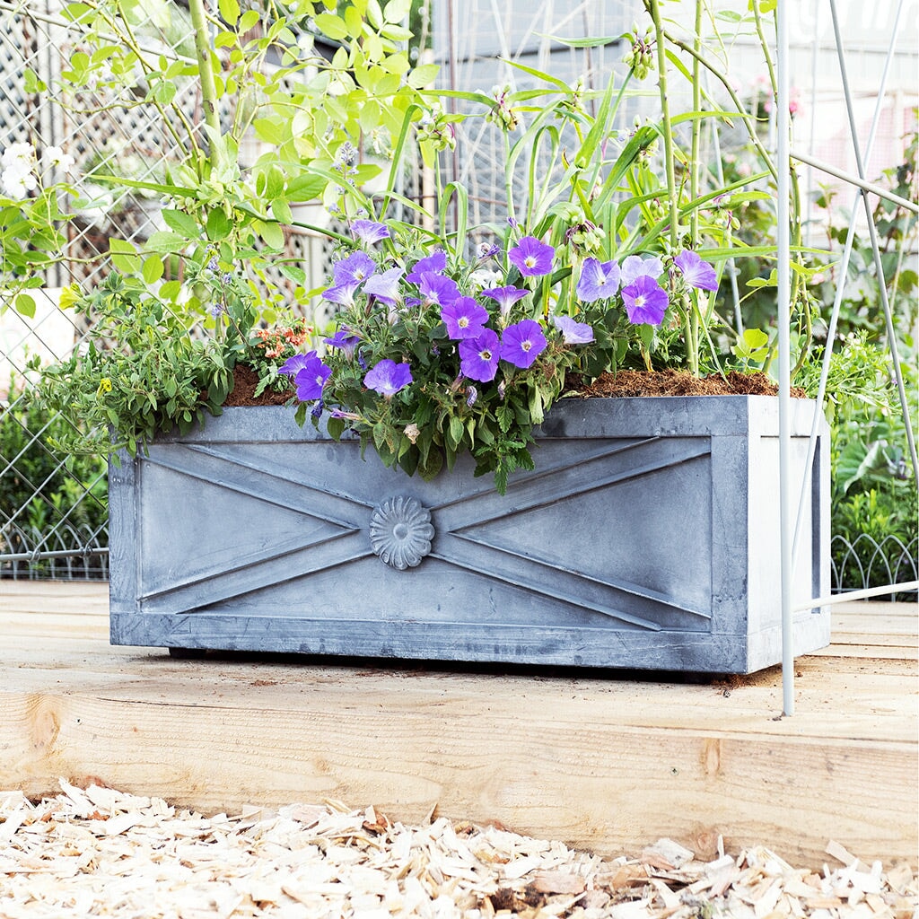 Regency Zinc Trough with purple flowers growing inside at Chelsea Flower Show 