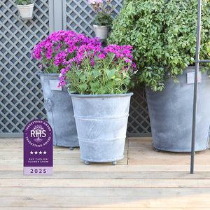 Potted plants on a wooden deck with an RHS Chelsea Flower Show 2025 award badge.