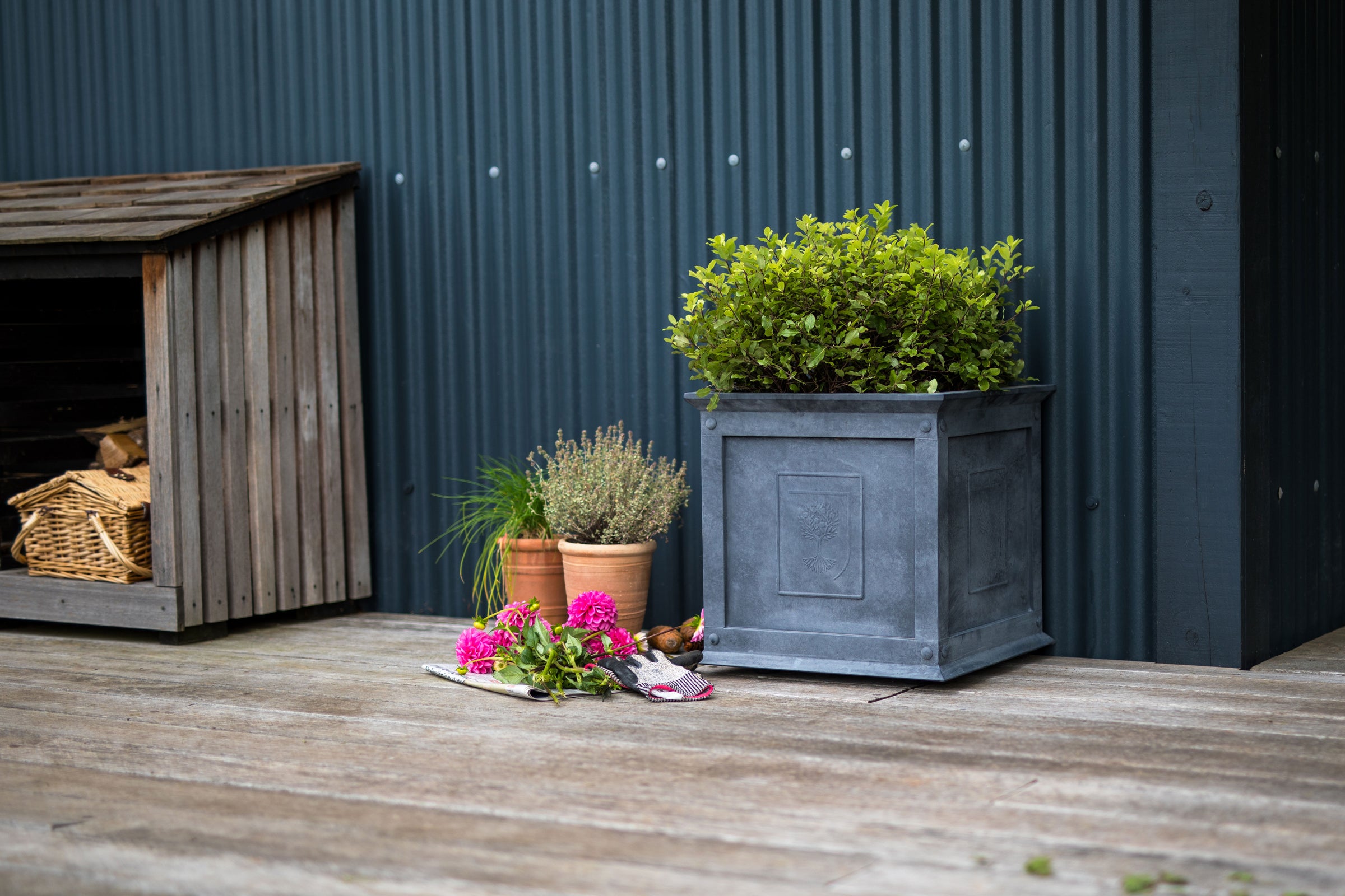 Agriframes RHS Zinc Planter with a plant inside on a wooden decking