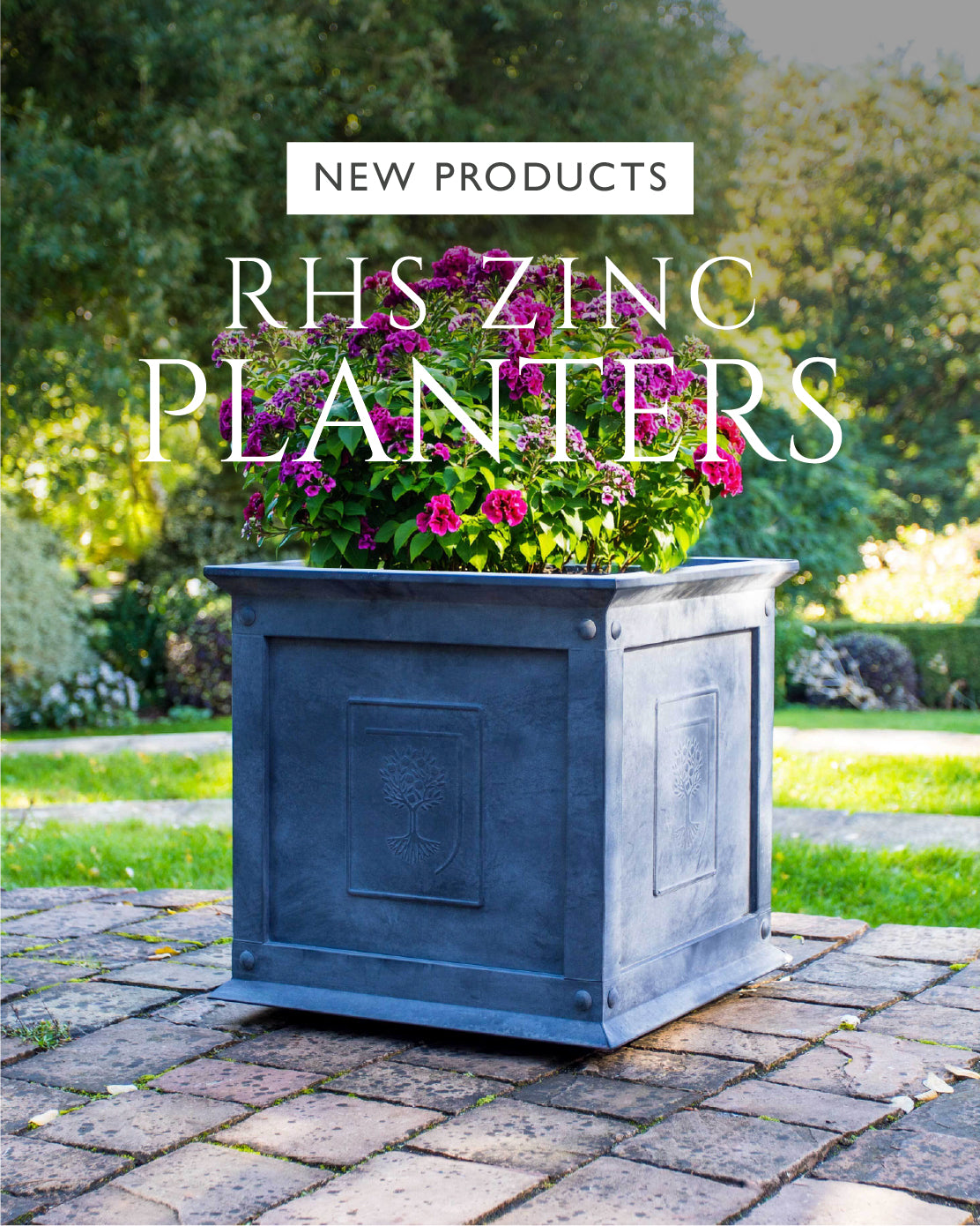 Agriframes RHS Zinc Planter with pink flowers growing in it, overlaid with the text "New Products: RHS Zinc Planters".