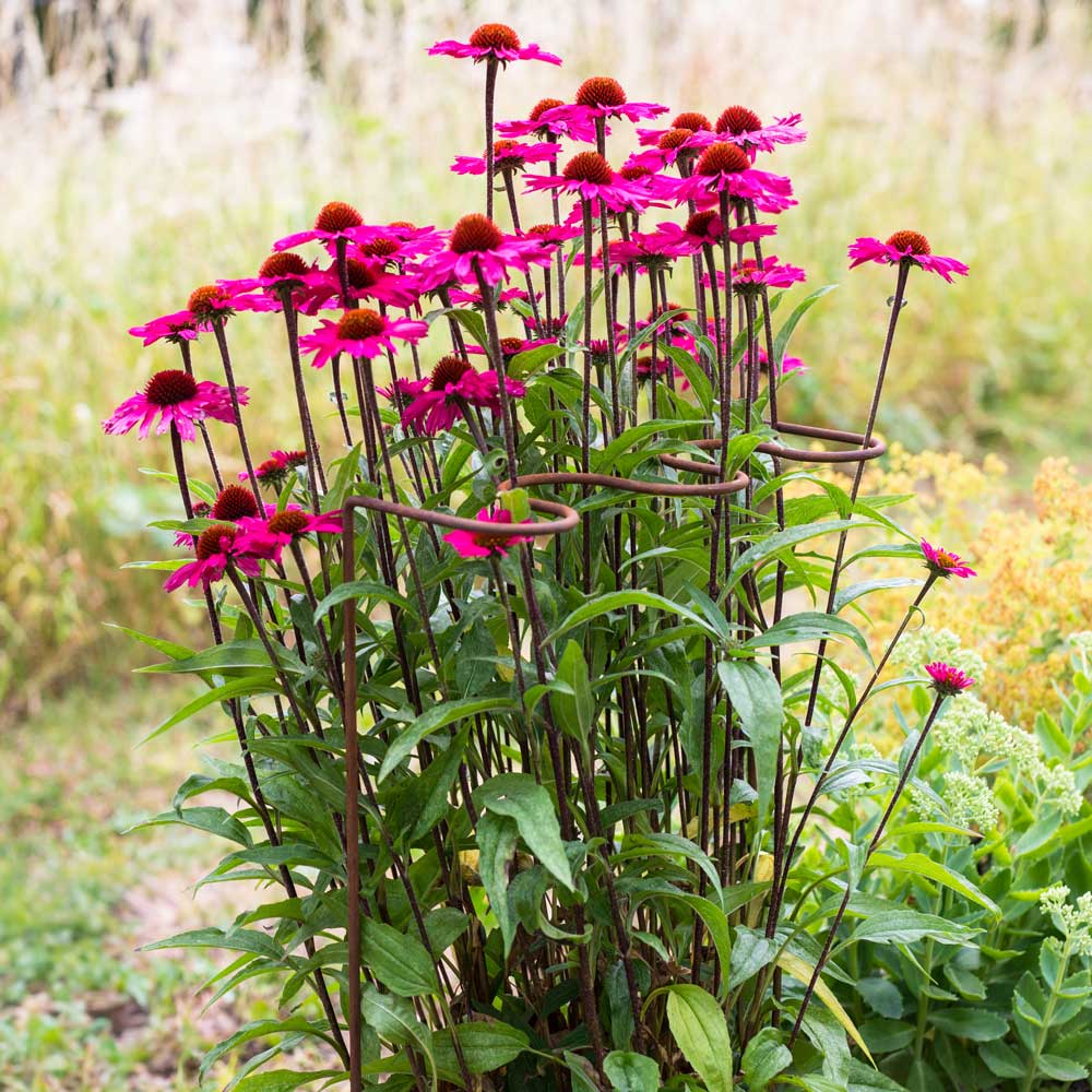 rippled rustic plant support with pink flowers