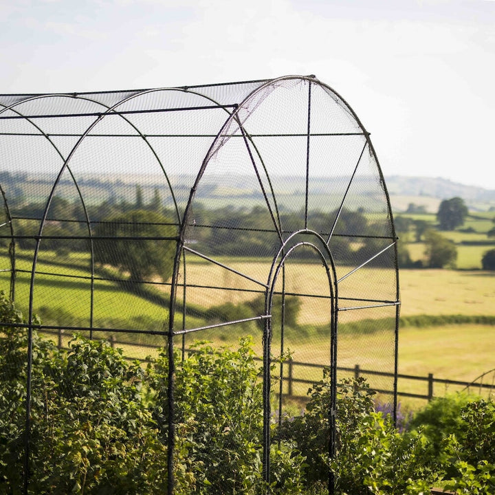 Closeup of the front of the agriframes roman fruit cage with fruit bushes growing in it overlooking a countryside scene