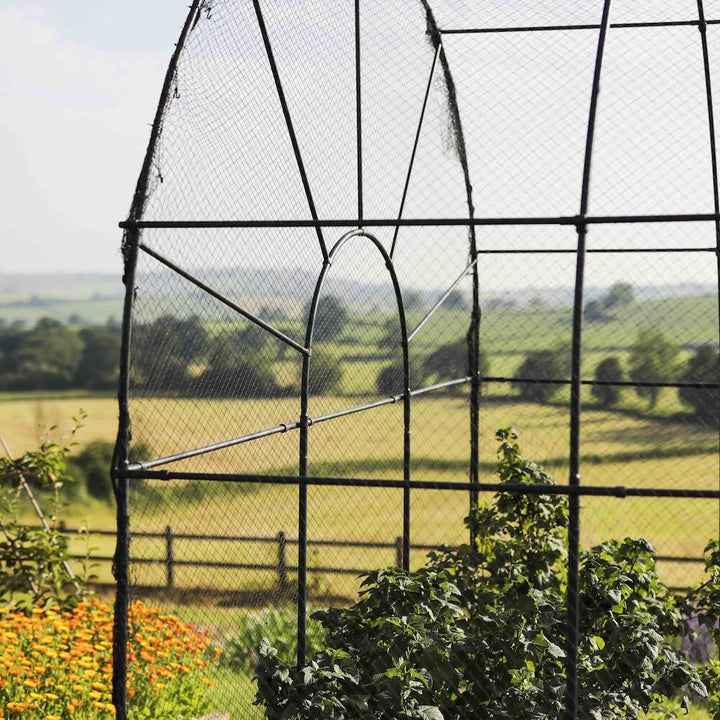 Closeup shot of the agriframes roman fruit cage from the side overlooking a countryside scene