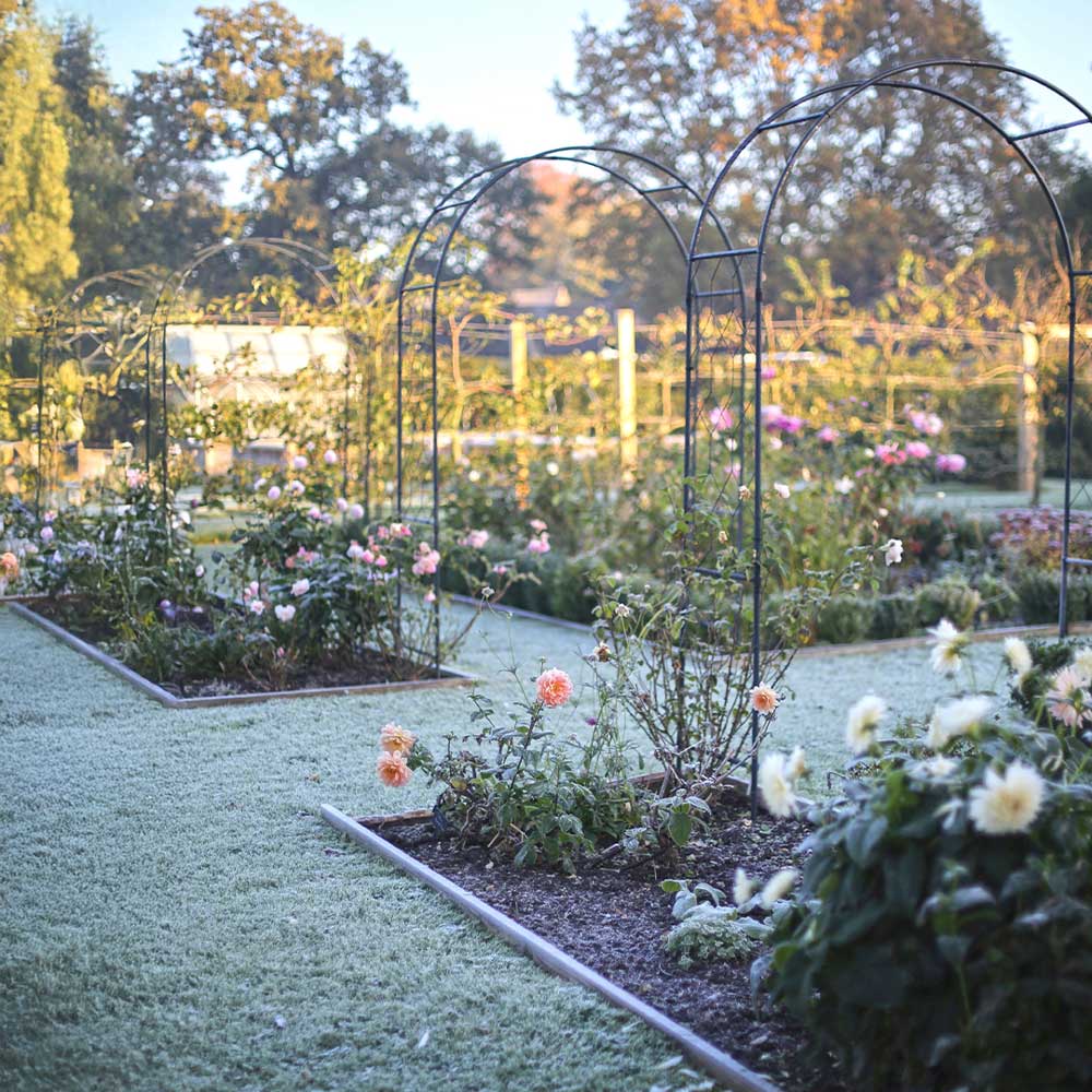 Garden with flower beds and arches on a sunny day
