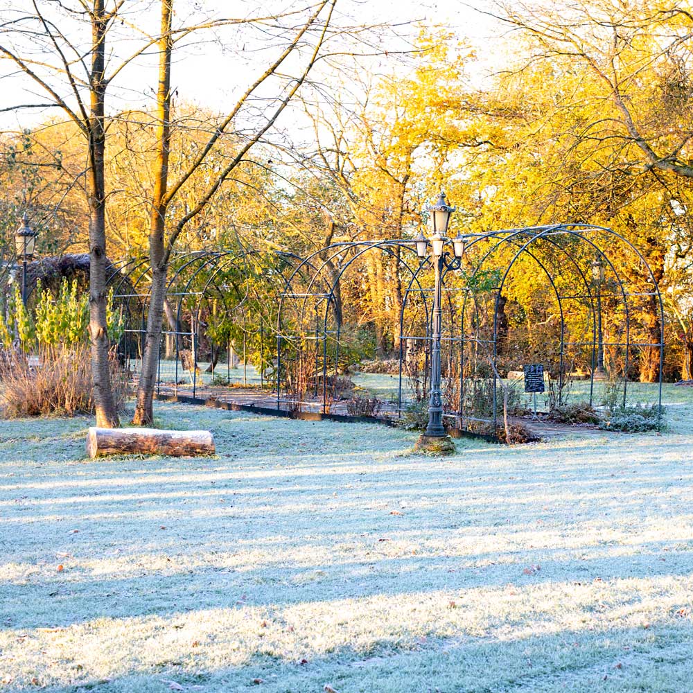 Frosty park with arches and trees in autumn