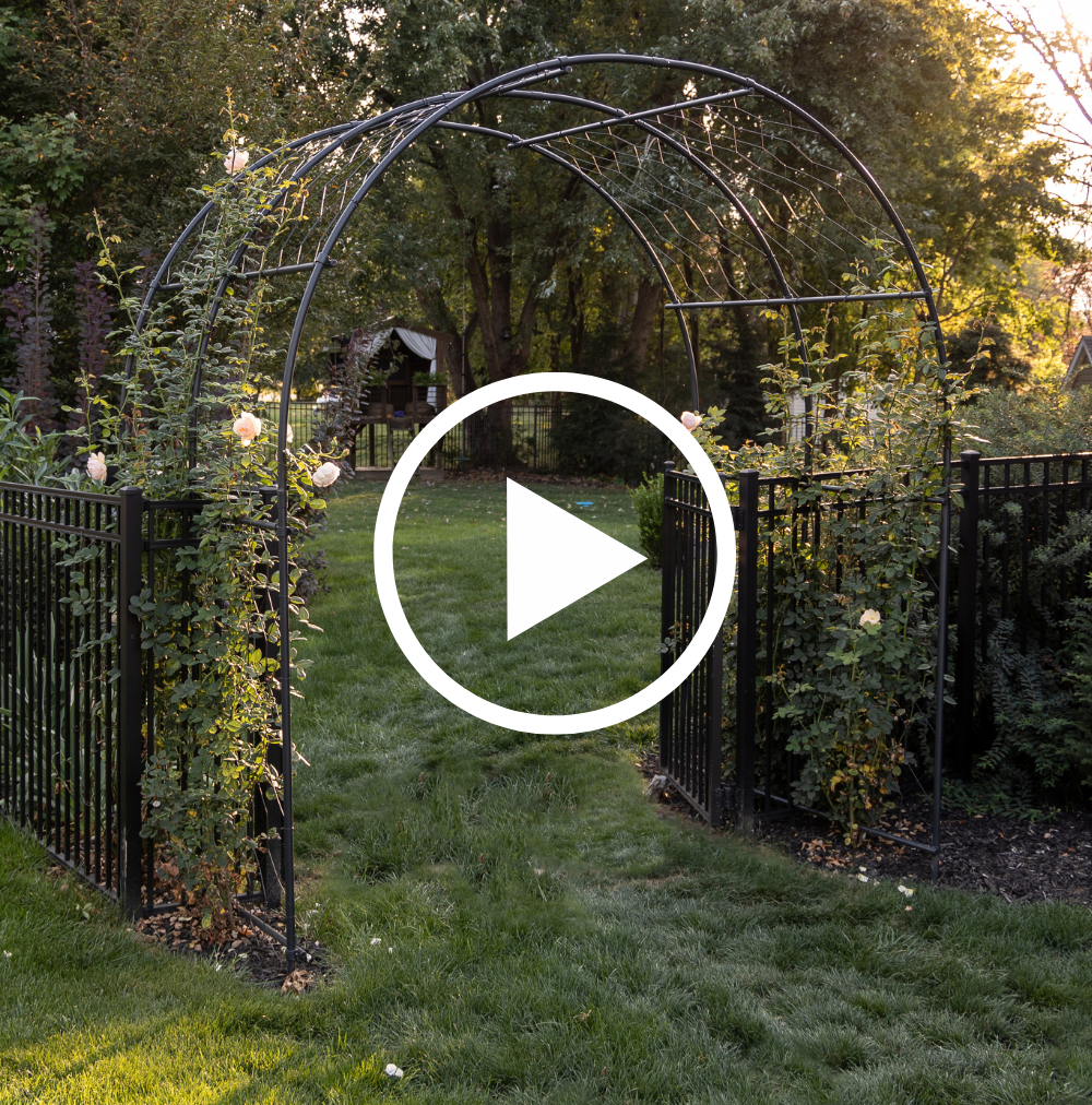 Metal garden archway with climbing plants in a park setting