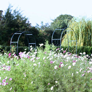 round_arch_in_spring_flowers